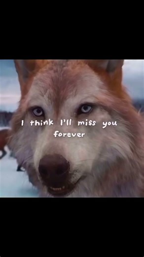 This scene 💔 #twilight #sad #scene #movie #moments #wolf #vampire #sadmoment