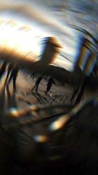 6 Most Dangerous Gangsters in California’s Corcoran Prison