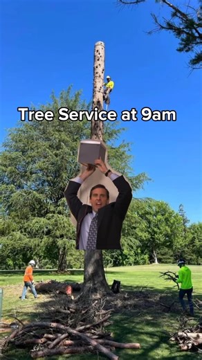 M&B Tree Solution on Instagram: "Besides the chainsaw noise, this is what we listen to 🕺 MBTreeSolution.com NorCal 📍"