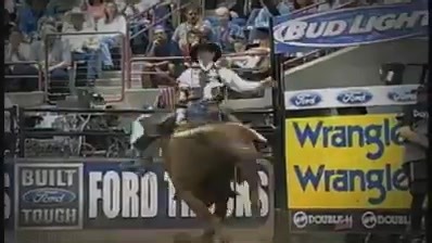⚠️ Little Yellow Jacket ⚠️ PBR World Champion Bull 2002, 2003, 2004. Colaborador: Alejandro Mauricio Charolais. #oldschoolrodeoforever #galeriaamigosdelrodeo #amigosdelrodeozac #rodeo #champion #cowboy #bullriding #longlivecowboys #legend #bull | Amigos Del Rodeo