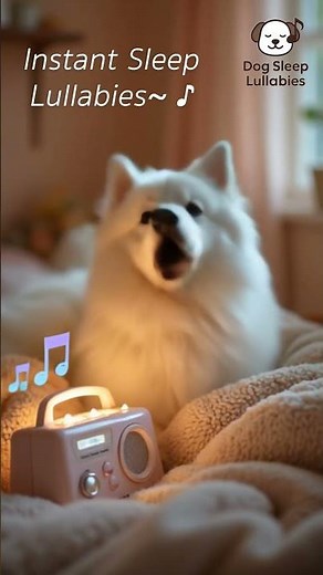 Soft Lullaby for Sleepy Puppies 🐾💜 #cute #sleepmusic #dogmusic #lullaby