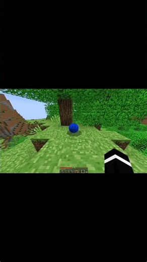 Varity second version #pipsqueak3 #minecraft #capcutedit