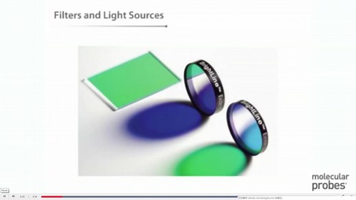 滤光片和光源概述Overview of filters and light sources