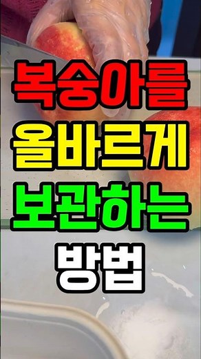 복숭아 보관법 완벽정리🍑 딱딱이부터 말랑이까지! 절대 물러지지 않는 꿀팁