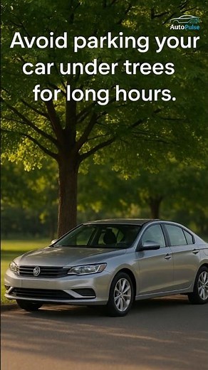 Why You Should NEVER Park Under Trees | AutoPulse Car Care Tips