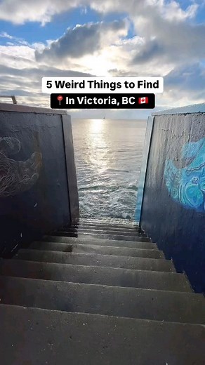 Victoria isn’t just beautiful—it’s full of quirky and wonderfully ecelectic experiences you won’t want to miss. Here are a few unique things to add to your adventure: ✅ Stairs to the Sea – Dallas Road Staircase ✅ The Moss Lady – Beacon Hill Park ✅ Fan Tan Alley, Chinatown – The narrowest street in Canada ✅ Wild Peacocks – Spotted in Beacon Hill Park, Oak Bay, and Royal Roads University ✅ Water Taxi Ballet – Catch this show in the Inner Harbour throughout spring and summer Ready to explore Victor