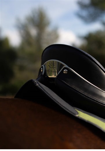 Customizable Nameplates for Horses