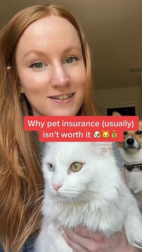 7K views · 135 reactions | Is pet insurance a scam?! @ecommjess knows pet insurance doesn’t make sense for everyone — and it’s not even affordable for some people. So if you’re looking for an alternative to keep your fluffy family members healthy, here’s what you can do instead! . . . #pet #cat #dog #insurance #medical #care #emergency #puppy #kitten #money #savemoney #moneytips #lifehacks #petinsurance #premiums #family #personalfinance | ecommjess | Facebook