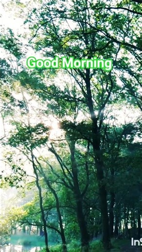 Amazing Nature 👌👌 Beautiful Morning 😍 #sunlight #goodmorning #nature #naturephotography #shots