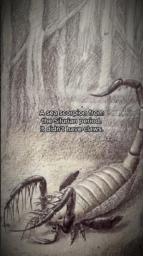 This prehistoric scorpion was a living trap