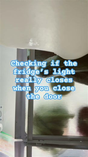 Checking if the fridge’s light really closes when you close the door
