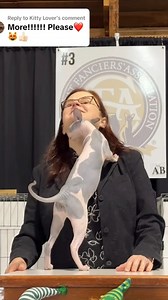 45K views · 196 reactions | Cat Show ,The Cat That Laughs. #cat #cats #catlover #catoftheday #catsofinstagram #pet #petcare #petsofinstagram #petlovers #petstagram #catlove #meowandco #meowandcobd | Meow & Co. | Facebook