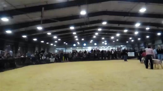 Williamson County Livestock Association 2025 | Williamson County Expo Center