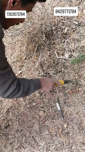 Gold Field Hunting on Instagram: "Pinpointer Searching Object #pinpointersearchingobject #viralreels #metalhunting"