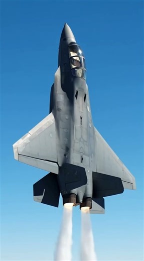 F 22 Raptor Cobra Maneuver 🔥 How Thrust Vectoring Breaks Physics #Shorts