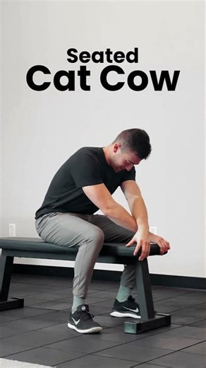 The Best Stretches For Office Workers 👨🏼‍💻