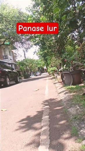 masih di sini menunggu #automobile #shortsfeed #shortvideo #shots #beach #song #songs #short #share