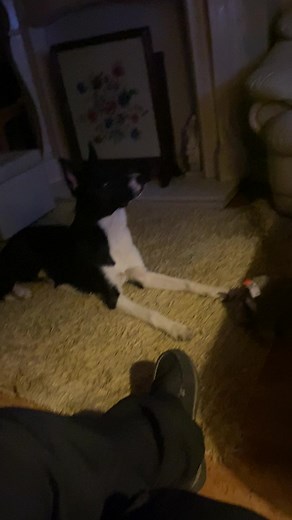 The Names Barney | Stephen Kelleher