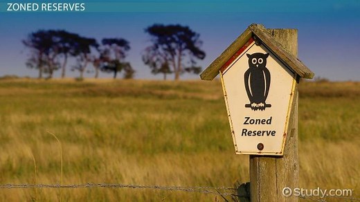 Landscape Ecology | Definition, Concepts & Examples