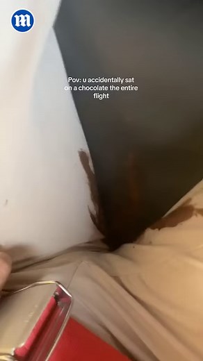 Tiger shark attack! 😱 | Daily Mail Video