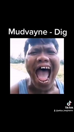 Mudvayne - Dig