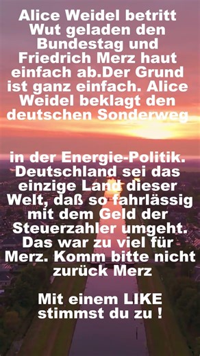 Merz haut ab #politik #afd , #shorts , #shortsfeed, #shortvideo, #foryou, #fyp ,#deutsch