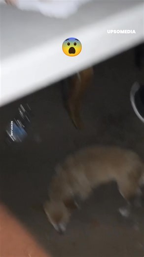 The boy warned them, but nobody listened to him 🤷🏻‍♀️ | Super Mommy