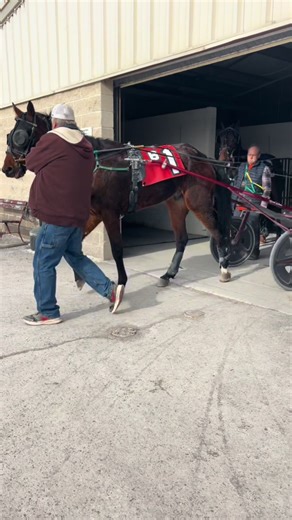 Adrenaline at The Meadows: 6th Race Highlights