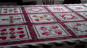 Beautiful Baltimore Quilt By Sally White of Threads and Patches.wmv - YouTube