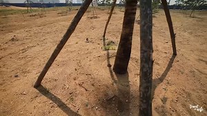 PORT CITY: THE FUTURE OF SRI LANKA Spanning 269 hectares, Port City...