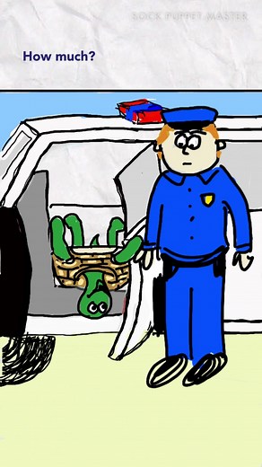 Sock Puppet Master on TikTok