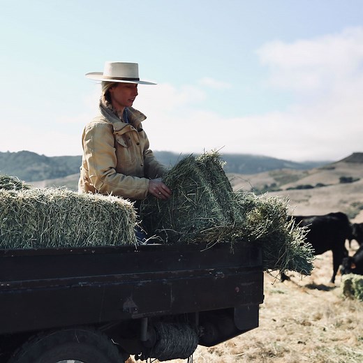 7.7K views · 326 reactions | Cattle rancher and entrepreneur Elizabeth Poett tackles the work of running her family’s 14,000-acre ranch while crafting regional dishes using her own fresh ingredients. Catch the TV premiere of #RanchToTable today at 2/1c on #MagnoliaNetwork. | Magnolia Network | Facebook