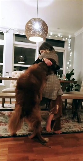 Join for livestream https://t.co/5POu46JVW4 #zoosex #animalporn#zoophillia #zoosarevalid #beastiality #dogknot #zooprideisvalid #zoophiletwt #zootwt #zoopositivity #Zoophilia #Zoo #Bestiality #doglovers #usa #artofzoo #dogwhole #knotty #dogpill #dog #dogknotty https://t.co/mgowFlSOHr