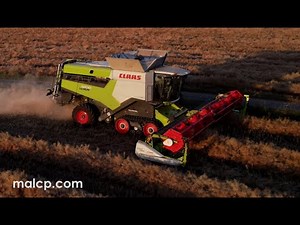Claas Lexion 8700TT combine harvester with V1080 Vario header cutting oil seed rape as the sun sets