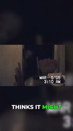 Real Alien Visit or Elaborate Prank That Fooled Millions #alien #hoax #mysterious