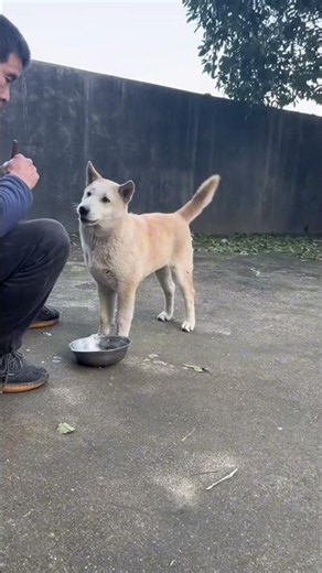 Dogs also have their own preferences 😂
