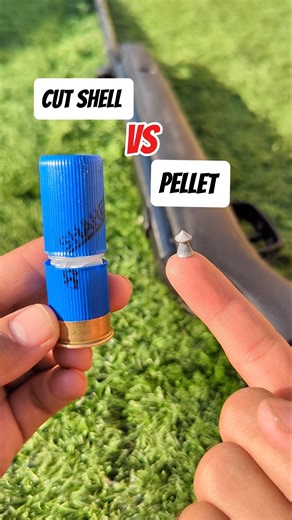 Can an Airgun Pellet Ignite a Cut Shell?