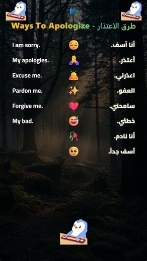 Apologizing in English 🇬🇧 | تعلم الإنجليزية - Say Sorry #LearnEnglish 🗣️