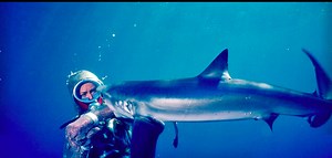 Ocean Plastic, Shark Conservation, And The Case For Not Being Pathetic