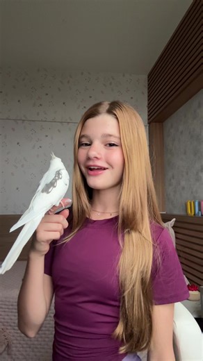 te amo pipooo🩷. #fyp | pipo