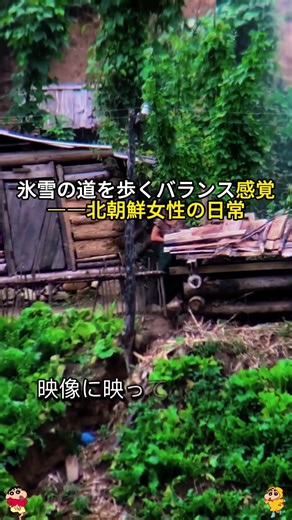 #北朝鮮 #暮らし #tiktok #foryou