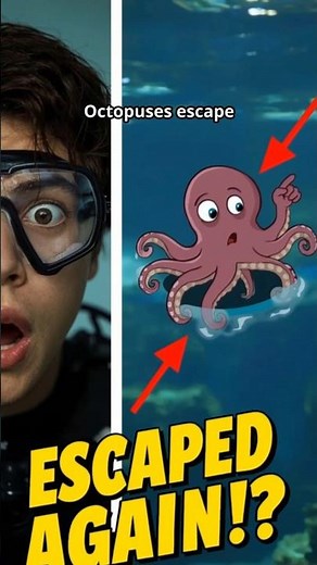 Why Octopuses Keep Escaping Aquariums – The Shocking Truth!