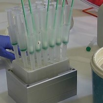 Video: An Economical and Versatile High-Throughput Protein Purification System Using a Multi-Column Plate Adapter