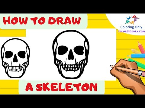 How to Draw a skeleton | human skull in 5 minutes - Step-by-Step Drawing Guide
