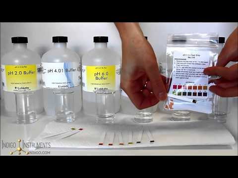 How to Use pH Test Strips for Measuring Acids & Bases