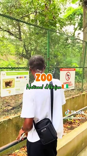 Découvrez le Zoo National d’Abidjan : Plongée dans la Faune