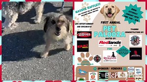 18 reactions · 3 comments | Snickers, shown mostly at the end of the video (scruffy brown terrier), has recovered from parvo. She is a sweet, cuddly, lap dog. She’s having her spay day this week and we hope to have her at this event on Saturday from 9am-4pm located at 500 W. Redlands Blvd. Come meet her along with our other REDFOSA babies. All proceeds from the raffle benefit the Redlands Animal Shelter.   | REDlands Friends Of Shelter Animals (REDFOSA) | Facebook