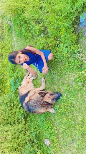 Fun with dogesh Bhai part 2🐕‍🦺🐾 #dog #socialmediaexpert #socialmediamarketingtips #butifyouclosey