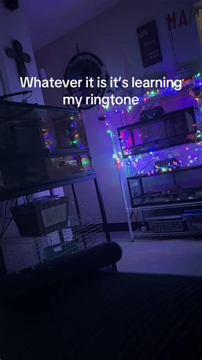 Godzilla (@godzilla_goji)’s video of Ringtone
