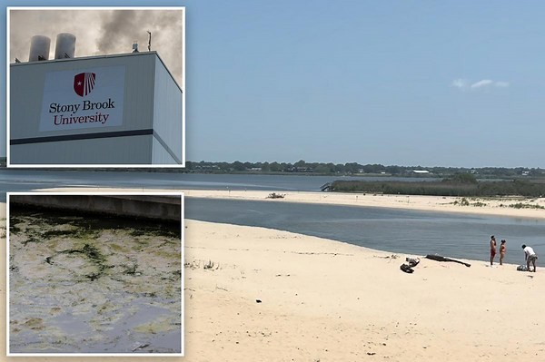 Flesh-eating bacteria found in Long Island waters leave victims with 20% chance of dying in 48 hours